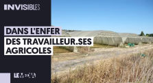 DANS L’ENFER DES TRAVAILLEUR.SES AGRICOLES by Le Média