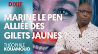 MARINE LE PEN : ALLIÉE DES GILETS JAUNES OU PLAN B DU SYSTÈME ? by Le Média