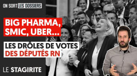 BIG PHARMA, SMIC, UBER, LES DRÔLES DE VOTES DES DÉPUTÉS RN by Le Média
