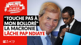 "TOUCHE PAS À MON BOLLORÉ" : LA MACRONIE LÂCHE PAP NDIAYE by Le Média