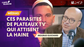 ENTHOVEN, FOUREST, CHALGHOUMI, EL KHATMI... : CES PARASITES DE PLATEAUX TV QUI ATTISENT LA HAINE by Le Média