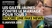 LES GILETS JAUNES CONTRE LE MARIAGE POUR TOUS ? ENCORE UNE FAKE-NEWS ! by Les Reportages