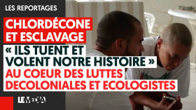 DÉCOLONISONS L’ÉCOLOGIE - Reportage au coeur des luttes décoloniales & écologistes by Le Média